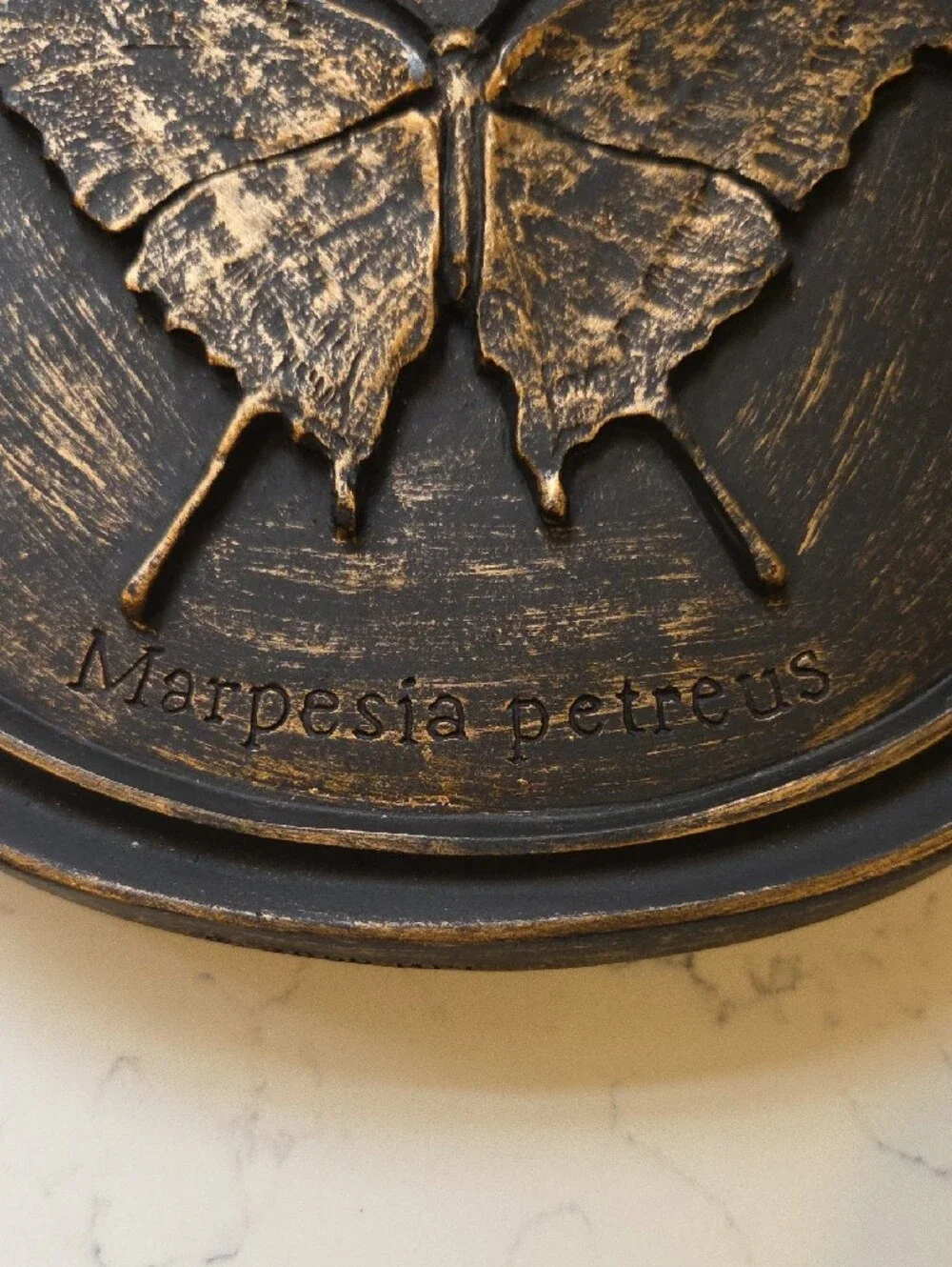 Bronze Butterfly Wall Plaque - Marpesia petreus